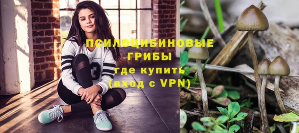 тгк Нязепетровск