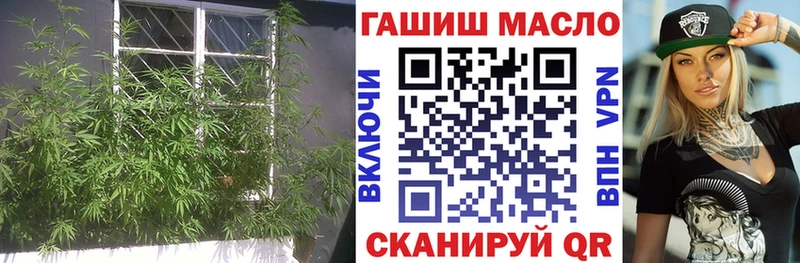 что такое   Нестеровская  ТГК гашишное масло 