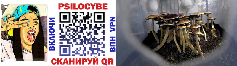 mega вход закладка Нестеровская Псилоцибиновые грибы мухоморы